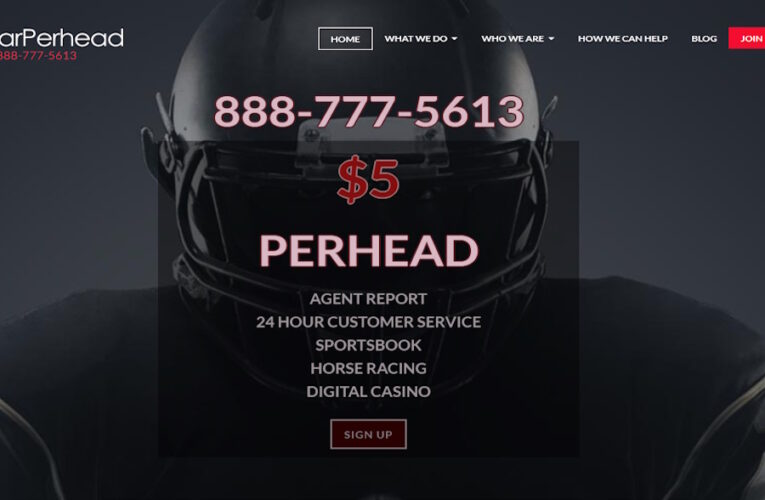 DollarPerHead.com Pay Per Head Review
