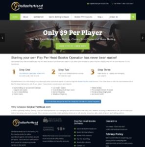 9DollarPerHead.com Sportsbook Pay Per Head Review