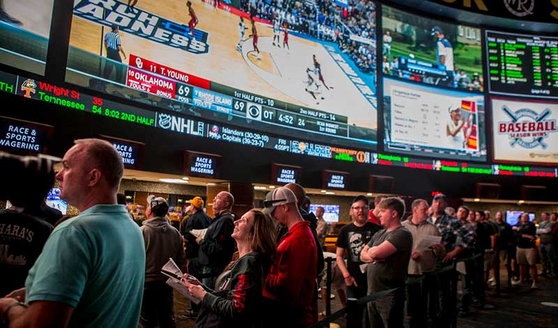 How to Develop Loyal Sportsbook Players