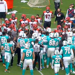 Bengals and Dolphins Brawl – The Aftermath