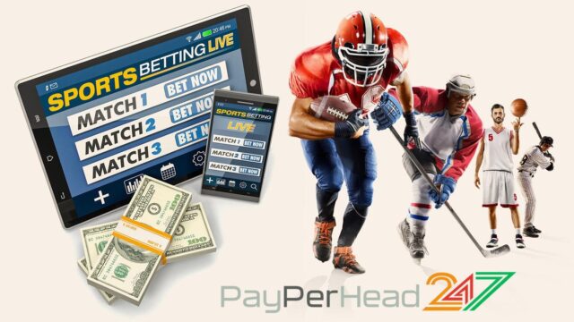 PPH Services Provided by PayPerHead247
