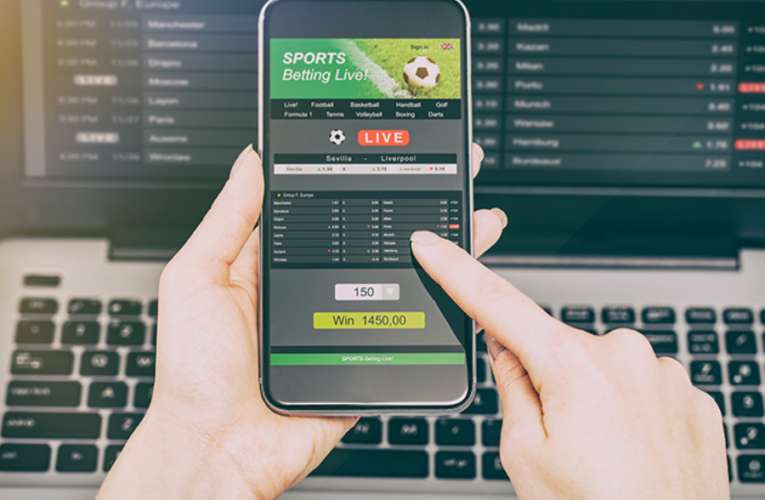 Importance of Player Reports for Your Sportsbook
