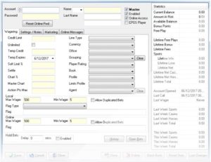 dgs Manager and Customer Service Software Interface Review