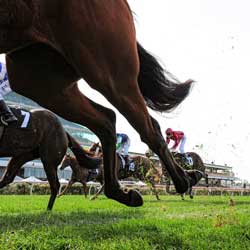 New Australian Gambling Tax Will Hurt Local Racing Market