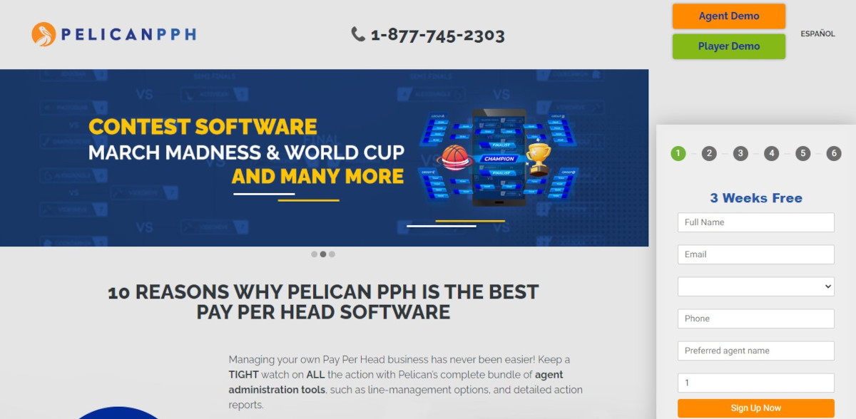 PelicanPPH.com Sportsbook Pay Per head Review