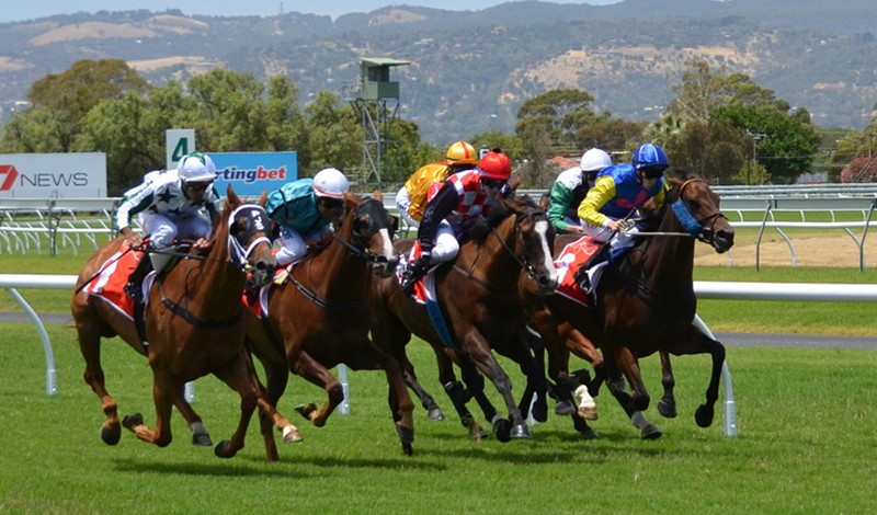 Horse Betting Strategy for First-Timer Derby Players
