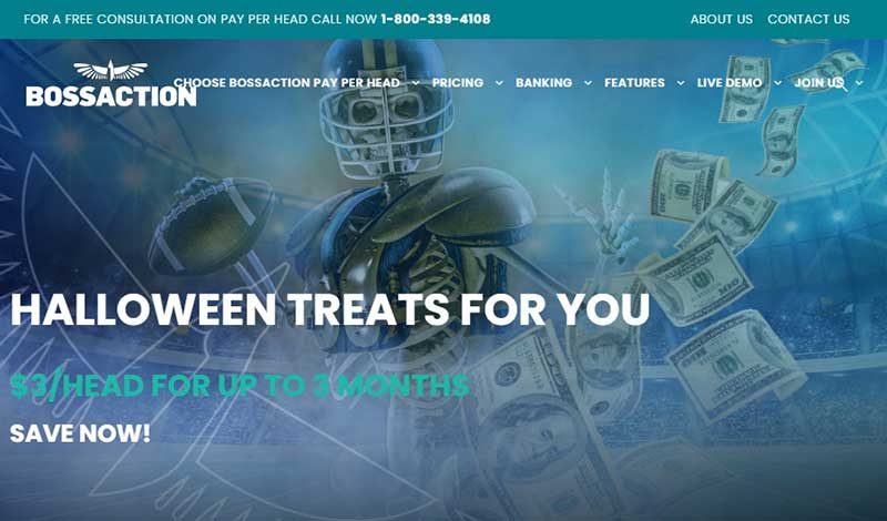 BossAction.com Sportsbook Pay Per Head Review