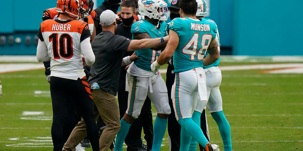 Bengals and Dolphins Brawl – The Aftermath