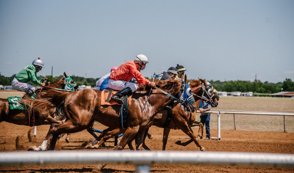 Types Of Horse Racing Bets: A Guide for Beginners