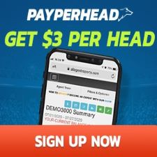 pay per head