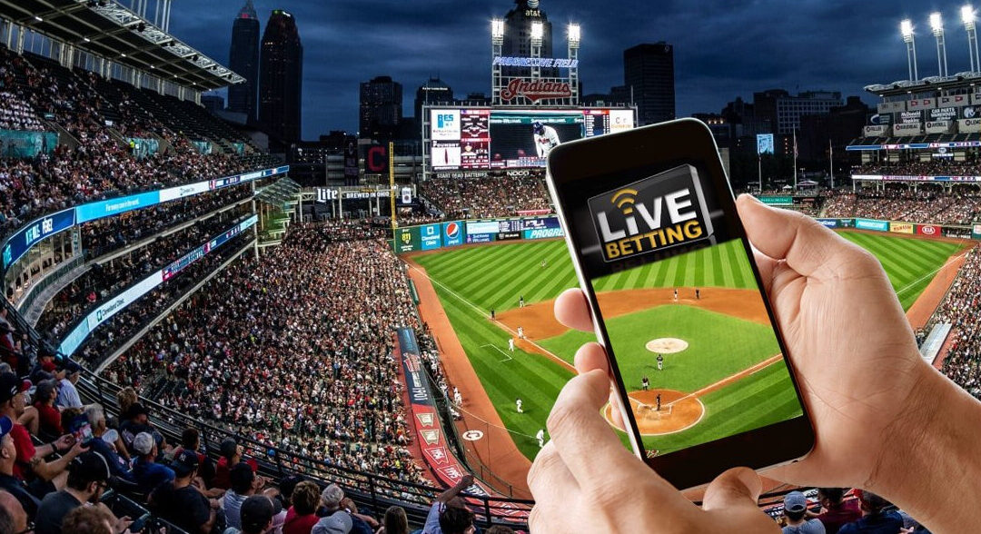 Elevate Your Sportsbook’s Success with Live Sports Betting