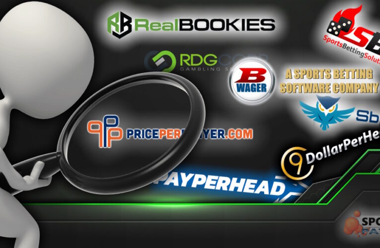 Top 10 Sportsbook Pay Per Head Companies of 2024