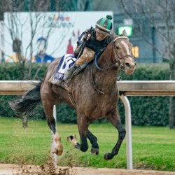 Top Kentucky Derby Longshot Picks That Have a Chance to Pay Big