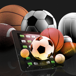 Top Sports to Offer on Your Bookie Betting Site